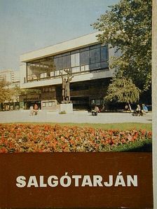 Dr. Belitzky János - Salgótarján [antikvár]
