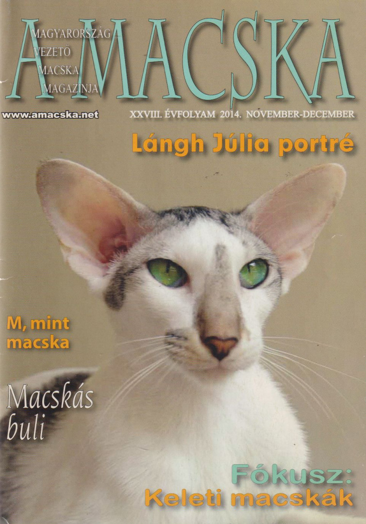 LÁSZLÓ ERIKA - A Macska 2014. november-december [antikvár]