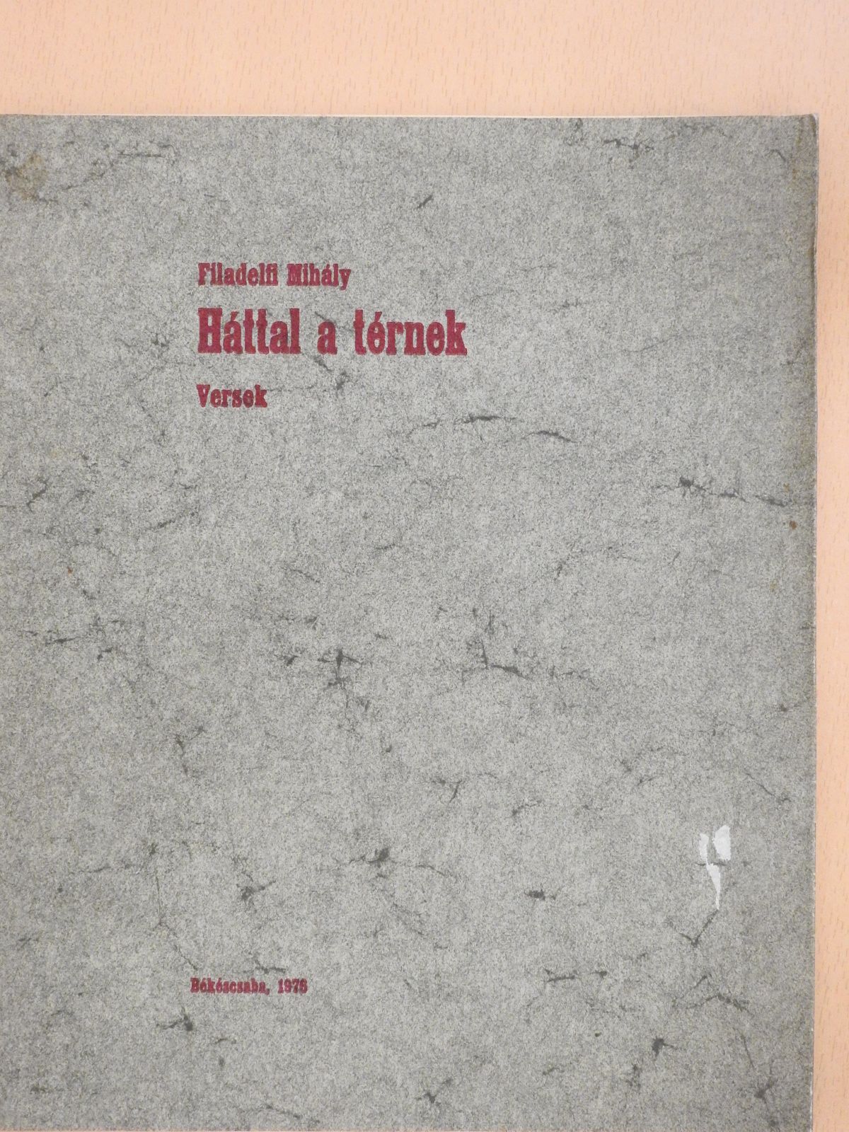 Filadelfi Mihály - Háttal a térnek (számozott, aláírt példány) [antikvár]