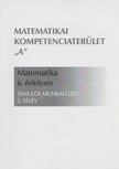 Birloni Szilvia, Pintér Klára,  Zsinkó Erzsébet - Matematika 6. évfolyam - Tanulói munkafüzet 2. félév [antikvár]
