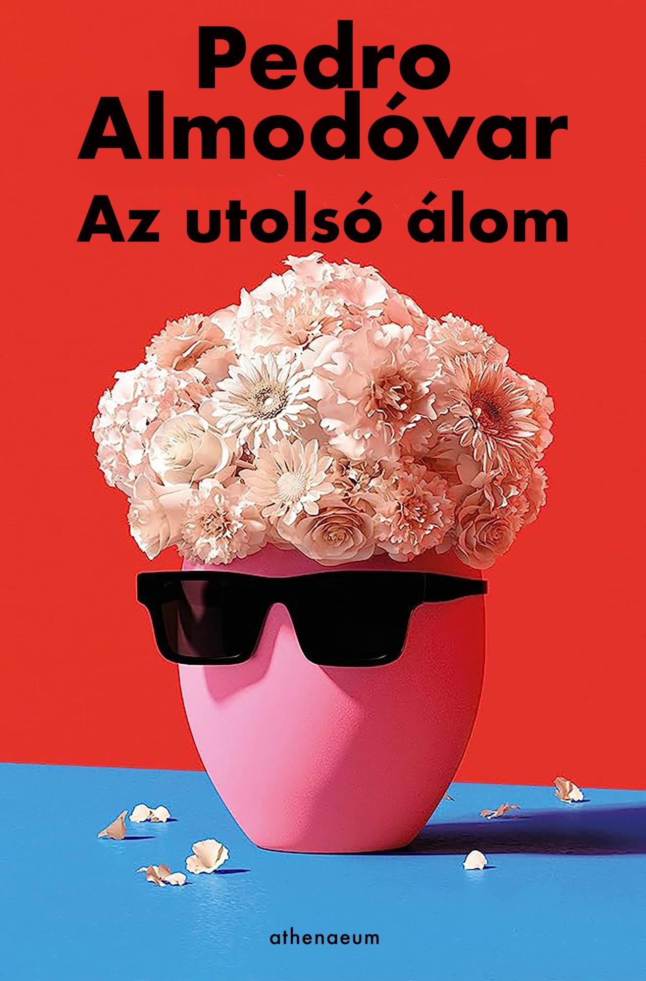 Pedro Almodovar - Az utolsó álom