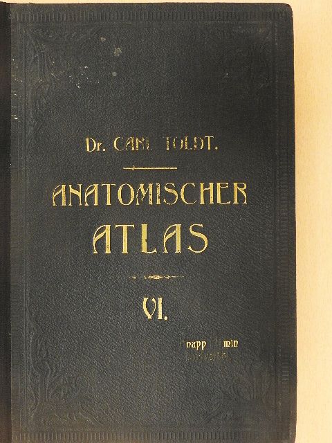 Dr. Carl Toldt - Anatomischer Atlas für studierende und Ärzte VI. [antikvár]