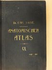Dr. Carl Toldt - Anatomischer Atlas für studierende und Ärzte VI. [antikvár]