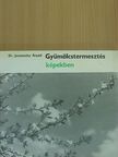 Dr. Jeszenszky Árpád - Gyümölcstermesztés képekben [antikvár]