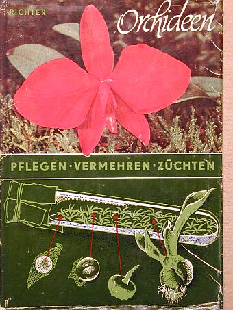 Walter Richter - Orchideen [antikvár]