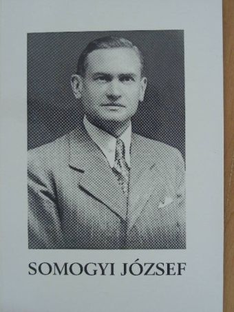 Galgóczi Anna - Somogyi József [antikvár]