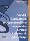 Dr. Berkesné Dr. Dancs Mária - Csőddel, felszámolással és végelszámolással kapcsolatos bírósági határozatok gyűjteménye [antikvár]