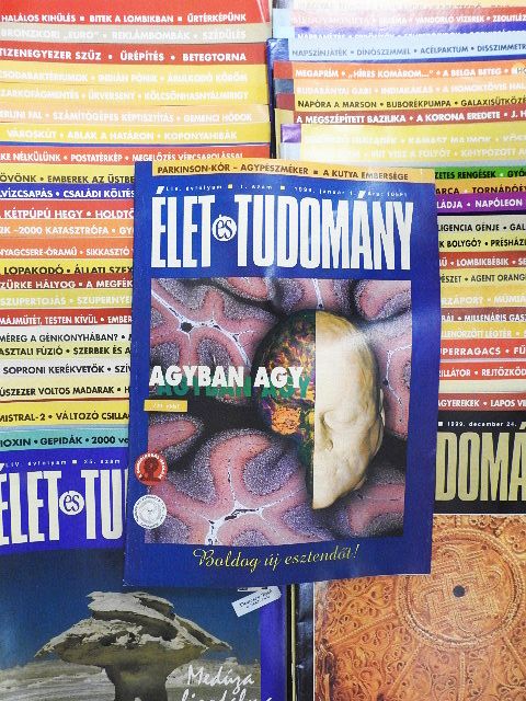 Buka Adrienne - Élet és Tudomány 1999. (nem teljes évfolyam) [antikvár]