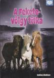 Giebken, Sabine - A Fekete-völgy titka [antikvár]