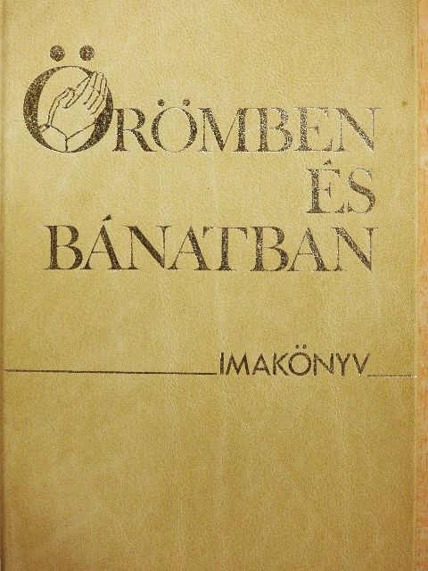 Sándor Endre - Örömben és bánatban [antikvár]
