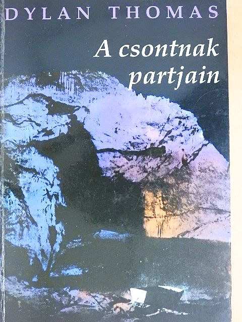 Dylan Thomas - A csontnak partjain [antikvár]