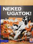 Korom Gábor - Neked ugatok! [antikvár]