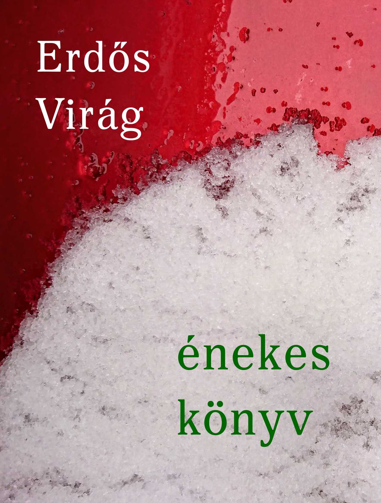 ERDŐS VIRÁG - Énekes könyv