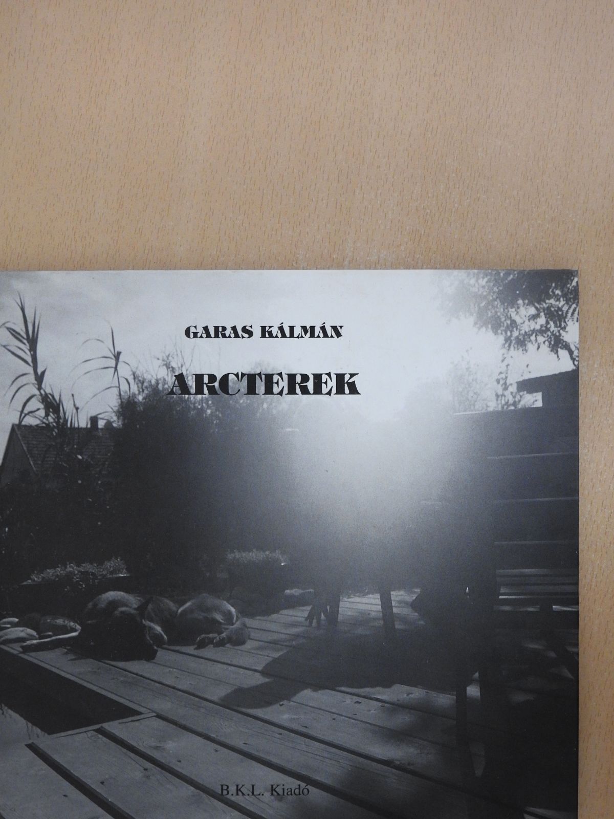 Fábián László - Arcterek (dedikált példány) [antikvár]
