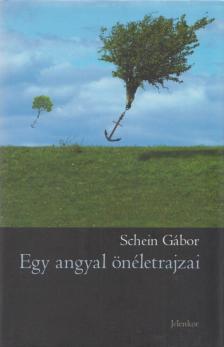 Schein Gábor - Egy angyal önéletrajzai [antikvár]