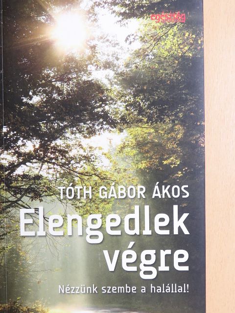 Tóth Gábor Ákos - Elengedlek végre [antikvár]