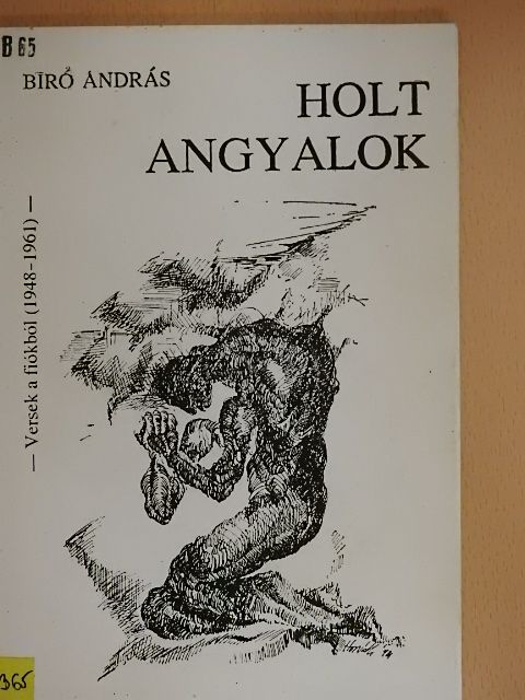 Bíró András - Holt angyalok [antikvár]