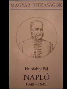 Hunfalvy Pál - Napló 1848-1849 [antikvár]