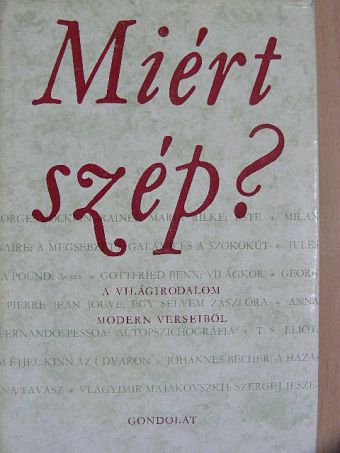 Aldo Palazzeschi - Miért szép? [antikvár]