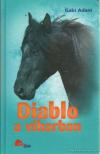Diablo a viharban [antikvár]