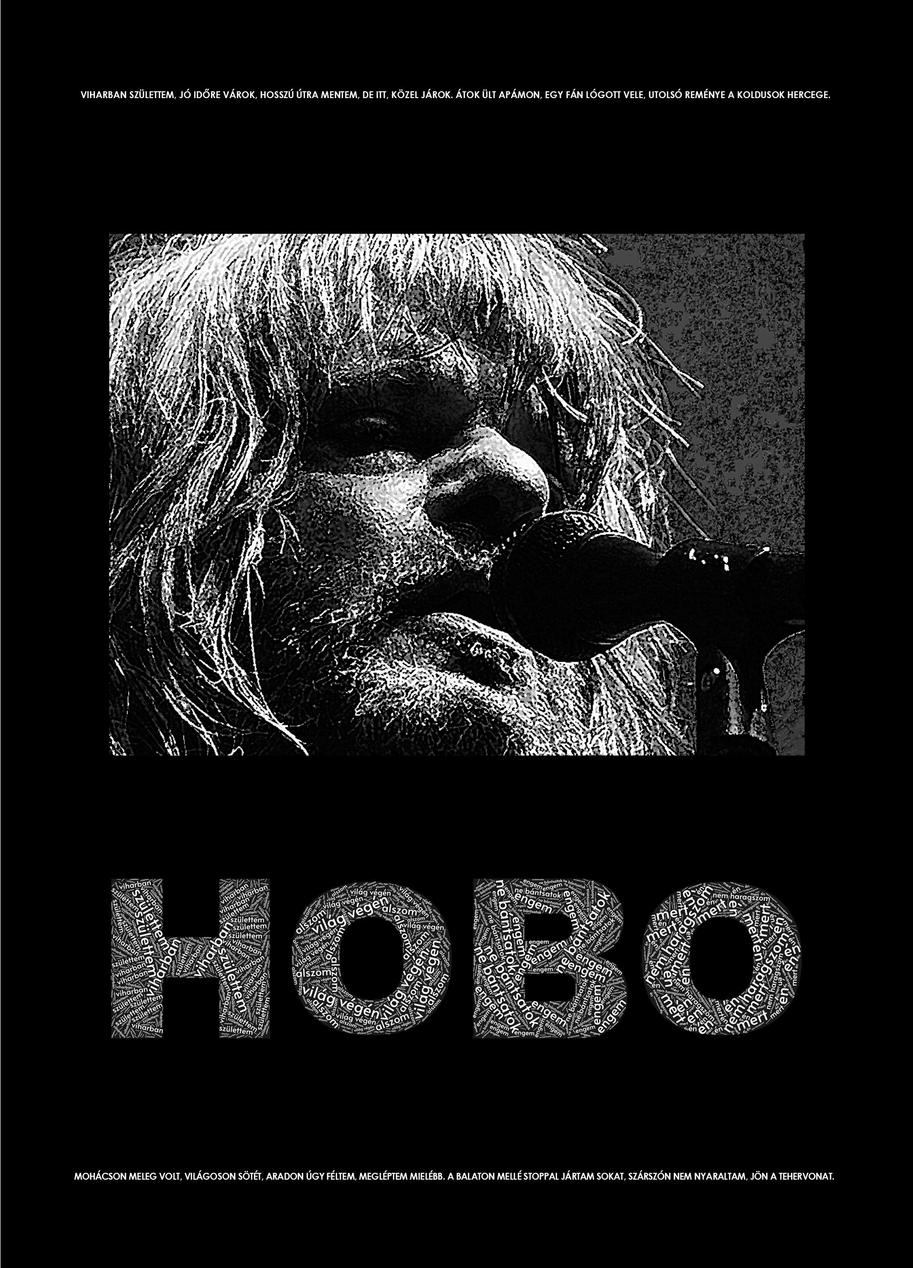 MOLNÁR ANIKÓ - HOBO - A HOBOLÓGIAI TÁRSASÁG ÖSSZEÁLLÍTÁSA 2022-2025