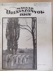 Farkasházy György - Magyar Uriasszonyok Lapja 1935. november 1. [antikvár]