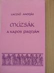 Laczkó András - Múzsák a Kapos partján [antikvár]