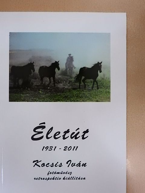 Életút 1931-2011 [antikvár]