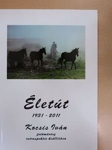 Életút 1931-2011 [antikvár]