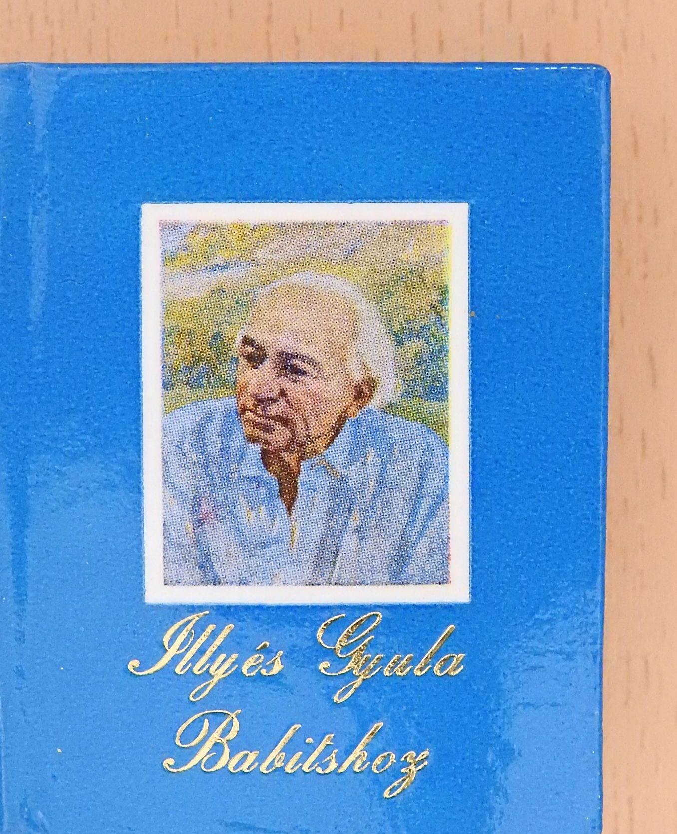 Illyés Gyula - Illyés Gyula Babitshoz (minikönyv) [antikvár]