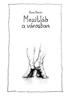 Boros Nándor - Mezítláb a városban