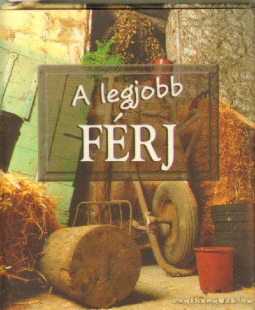 A legjobb férj (mini) [antikvár]