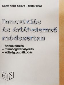 Hoffer Ilona - Innovációs és értékelemző módszertan [antikvár]