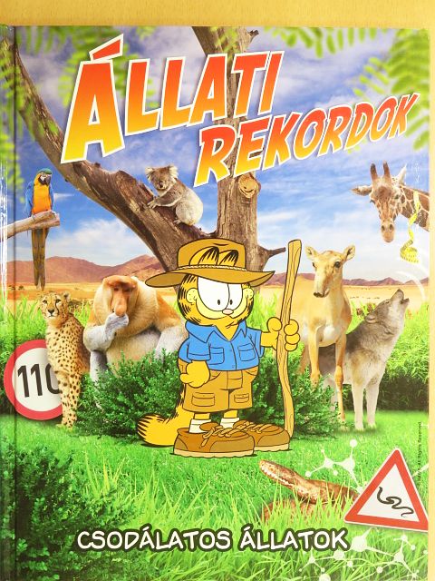Bordás Veronika - Csodálatos állatok [antikvár]