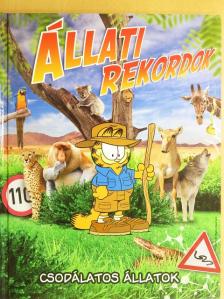 Bordás Veronika - Csodálatos állatok [antikvár]