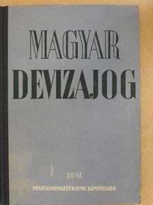 Magyar devizajog [antikvár]
