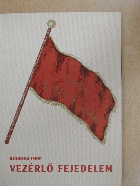 Bodrogi Imre - Vezérlő fejedelem [antikvár]