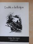 Varga Imre Lajos - Ladik a holtágon [antikvár]