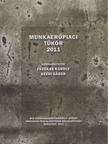 Fazekas Károly (szerk.), Kézdi Gábor - Munkaerőpiaci tükör 2011 [antikvár]