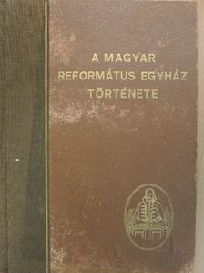 Bíró Sándor - A magyar református egyház története [antikvár]