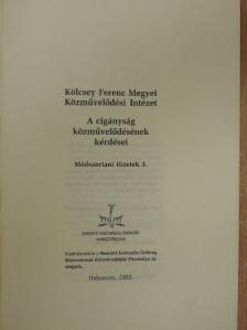 Dr. Bódi Zsuzsanna - A cigányság közművelődésének kérdései [antikvár]