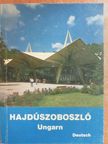 Dr. Imre Juhász - Hajdúszoboszló [antikvár]