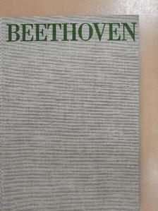 Richard Petzoldt - Ludwig van Beethoven [antikvár]