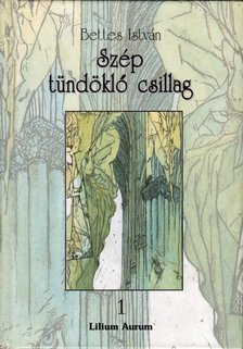 Bettes István - Szép tündöklő csillag 1. [antikvár]