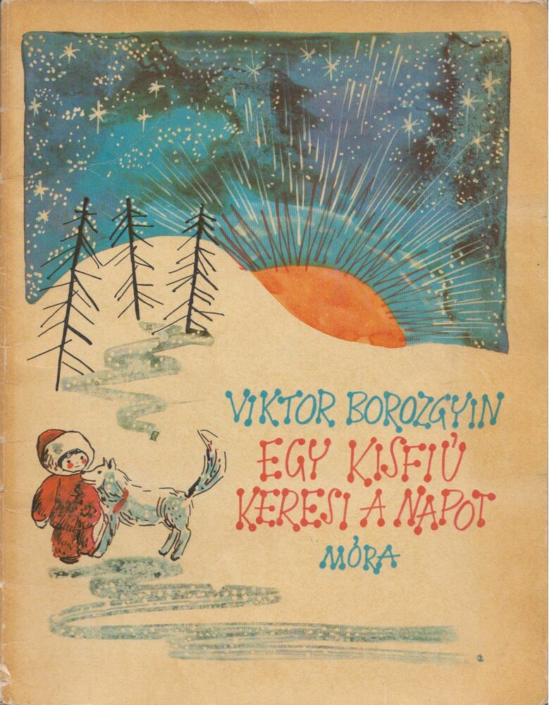 Viktor Borozgyin - Egy kisfiú keresi a napot [antikvár]