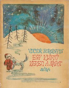 Viktor Borozgyin - Egy kisfiú keresi a napot [antikvár]