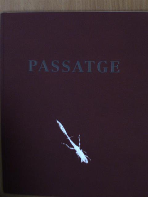 Bart de Baere - Passatge [antikvár]