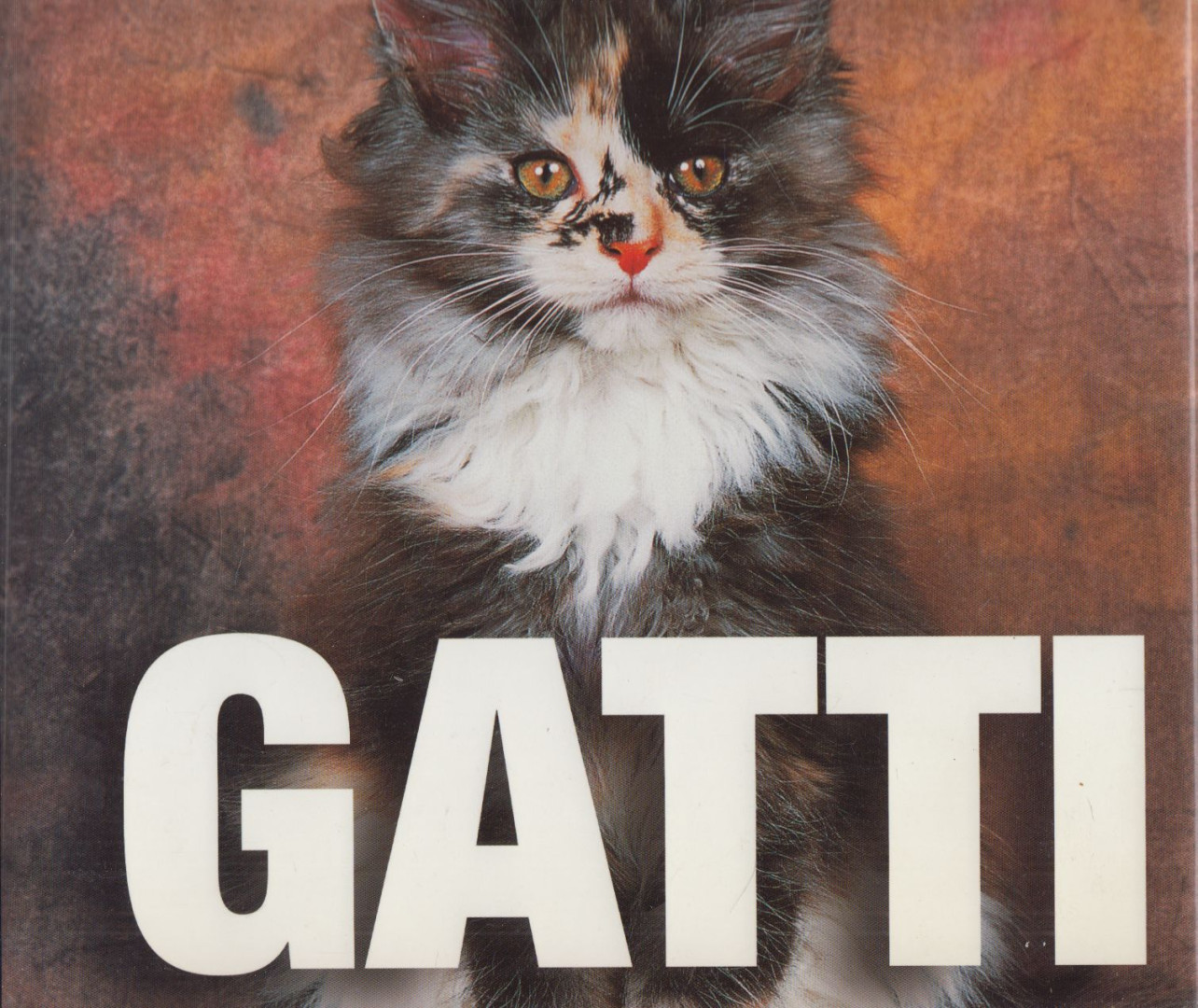 Enrico Lavagno, Aberto Bertolazzi - Gatti [antikvár]