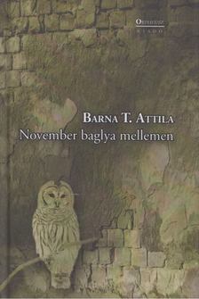 Barna T. Attila - November baglya mellemen [antikvár]