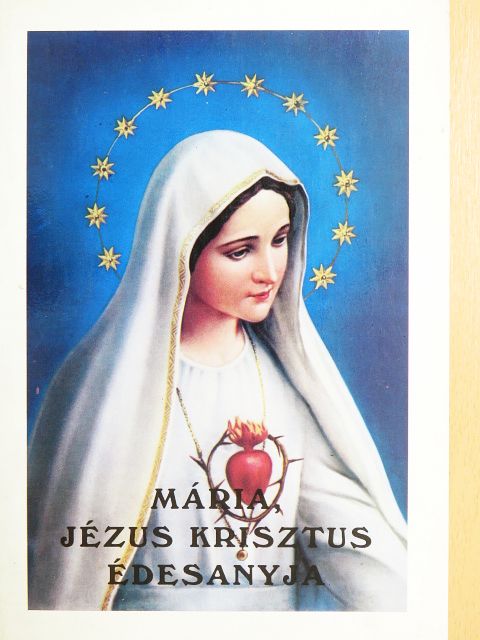 Mária, Jézus Krisztus édesanyja [antikvár]
